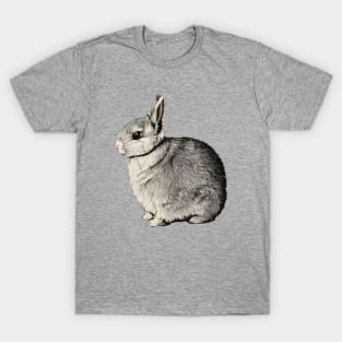 Vintage Rabbit Chubby Furry Pet Bunny Mom T-Shirt